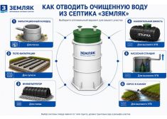 Спарта 2000 Eco