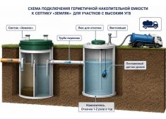 Спарта 2000 Eco